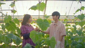 Cabbage Your Life Temporada 1 capitulo 1